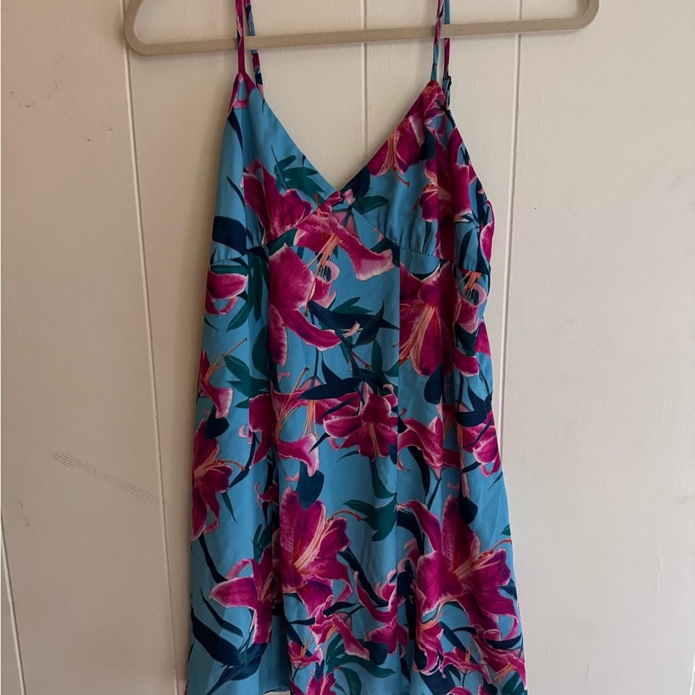 Show Me Your MuMu Blue and Pink Floral Dress